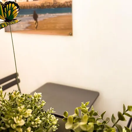 Apartmán Casita Del Mentidero Grupo Ac Gestion